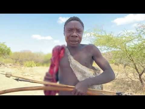 Typical Day of an African Bushman