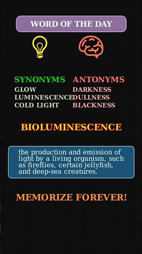 Bioluminescence: Nature's Living Light ✨ A Beautiful Science Word