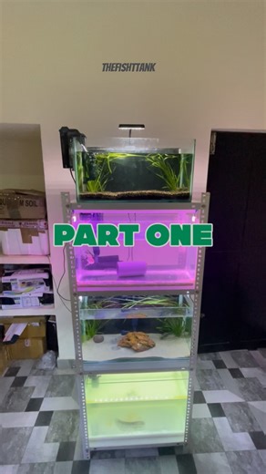 The Fish Tank | Fish room rack setup part 1 Stay tuned & follow for more updates. . . . . . #thefishttank #rack #fishroom | Instagram