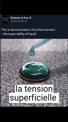 exemple de la tension superficielle
