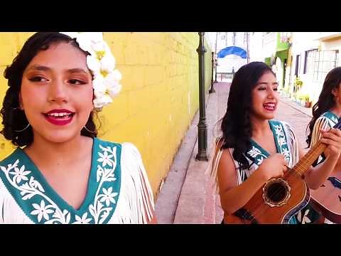 LAS AMAPOLAS Cuando Vayas a Tamaulipas