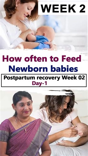 How often to Feed Newborn babies Postpartum recovery Week 02 Day-1