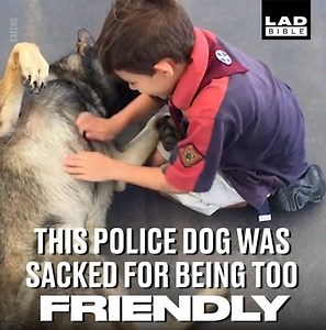 Luckily he has got another job he is much better at... 🐶👏 | LADbible