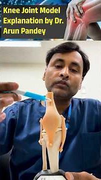 Knee Joint Model Explanation by Dr. Arun Pandey | How the Knee Joint Works