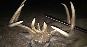Is This the Most Unique Buck Rack You Have Ever Seen?