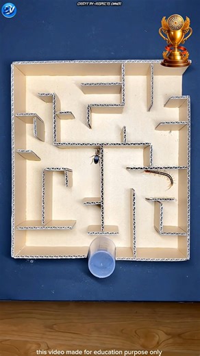 Human Was Confused… But Cockroach WON! 😂||#shorts #shortvideo #facts