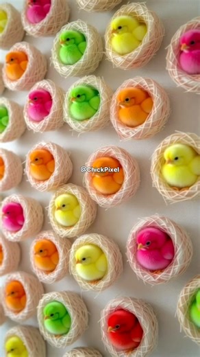 WOW! Colorful Chick Melt Your Heart 🐥🌈 Cutest Baby Chicks Ever #birds #adorablechicks #chicks