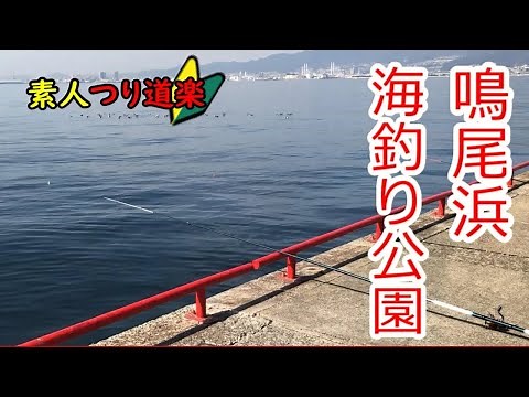 【つり道楽】2月の兵庫釣り場体験、真冬は厳しい鳴尾浜臨海釣り公園でぶっこみをやってみた【つりチャレンジ】
