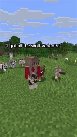 Coolest Wolf Variants in Minecraft