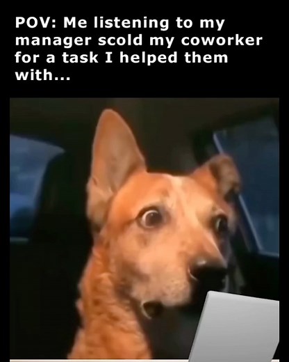 Blue Viper on Instagram: "Mistake but not mine 🥲 . . . #code #programming #joke #meme #memes #coder"