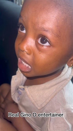 28K views · 497 reactions | When I say stop you stop | Real Gino D Entertainer | Facebook
