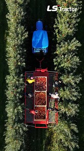 3.4K views · 29 reactions | 이곳은 드넓은 유럽 사과농장 새빨간 사과 수확을 책임지는 에너지 부스터 MT3를 만나보세요! ✨ | LS Tractor | Facebook