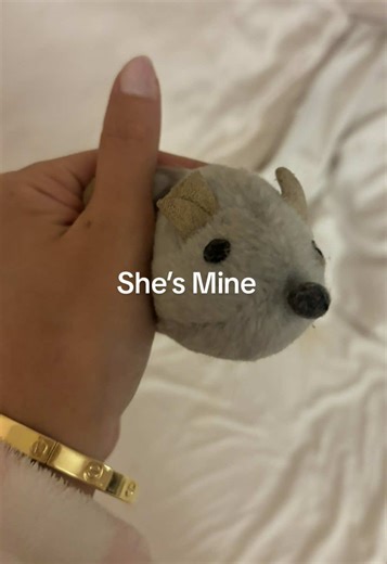 Go find your own Mice 😋