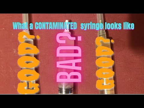 How to tell if a spore syringe is contaminated