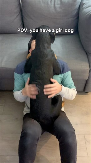 My dog stole my husband #funnydogs #cutedogs #dogs #daddysgirl | This Girl Emma