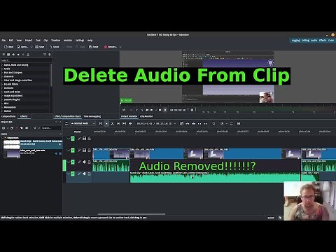 Kdenlive: Remove Audio From Clip