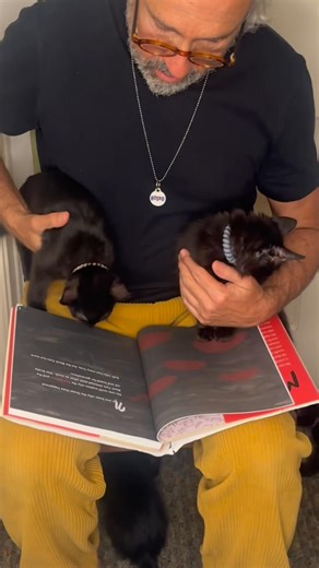 THE MIGHTY PAW!!! I loved reading the Blackie the Cat’s Story Book to our 5 foster kittens, teaching them the stories of the Black Kitty History!! Own a copy of the 1st Edition of this special book published by @hatandbeardpress before it sells out! https://www.garybaseman.com/product/the-mighty-paw-by-blackie-the-cat/ We also have 2 black kittens that need to be adopted!!!! @luxepaws | Gary Baseman