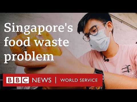 Solving Singapore's food waste problem