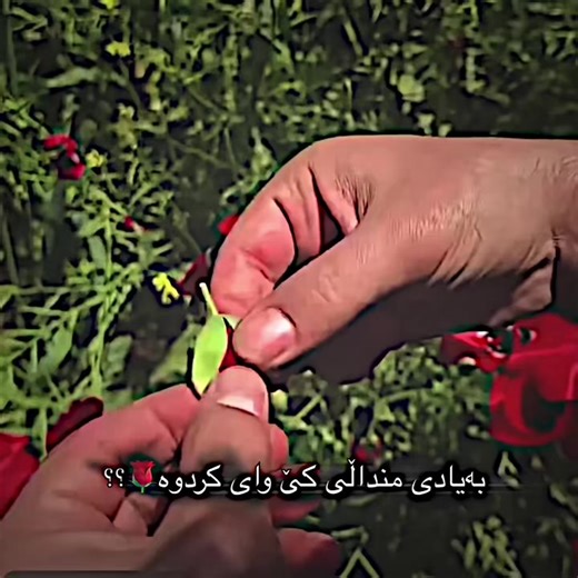 Bardarash Duhok: Kurdistana Iraqê