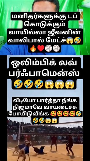🏐 A group of dogs giving humans a tough time! What a volleyball match! #TeamWork #ViralShortsTamil