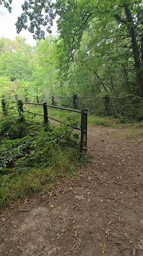 This month, Heathfield is our town of the month. 🚴‍♀️ I loved cycling the Cuckoo Trail (but is it me, or is it uphill for at least 6 km on the way back to Heathfield 🥴). 🚶‍♀️Also loved the disused railway north of the town. It was raining which gave it real atmosphere. Heathfield is surrounded by some amazing countryside and has some interesting history...it even has its own folly, the Gibraltar Tower. #heathfield #eastsussex #sussex #townofthemonth | Sussex Exclusive