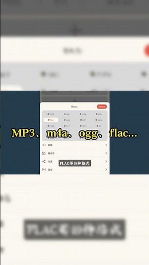 每天认识一款黑科技软件【第39期】#软件分享 #格式转换 #音频格式转换 #音乐格式转换