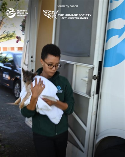 4K reactions · 208 shares | ⚠️ Matted and malnourished. Painful...