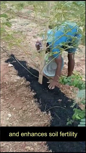 Biochar Mulch #biochar #farming