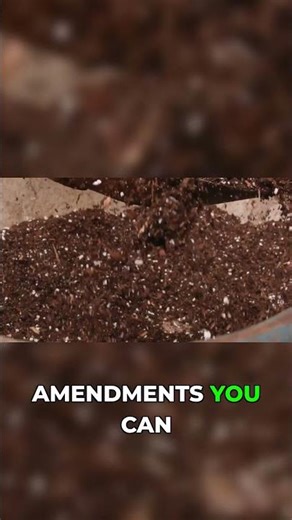 What Builds Great Soil? Organic Matter! #soilmanagement #Building soil