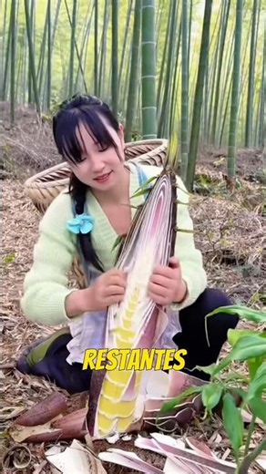 Así se preparan los brotes de bambú para no enfermarse #receta #bambú