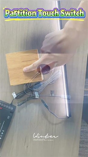 Partition Touch Switch