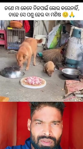 ଜଣେ ମା କେବେ ନିଜ ପାଇଁ ଲୋଭ କରେନାହିଁ 🥺🙏...//duetkingsunil1 //#short #shorts #youtubeshorts