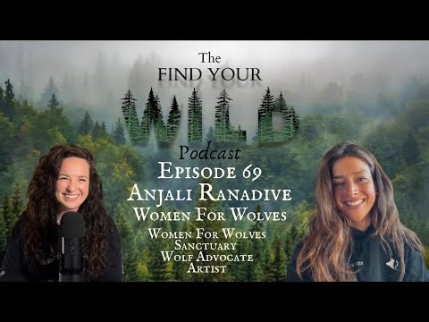 Anjali Ranadive Gives Wolf Dogs A Second Chance At Life at Women For Wolves Sanctuary