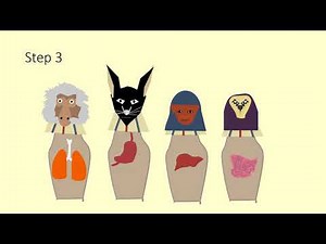 How dead bodies were turned into Mummy - Mummification Process