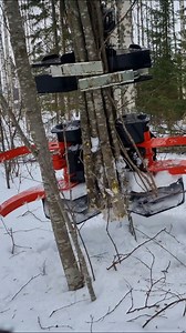 Farmikko 300TCE tree shear ✂️🪵❄️ www.farmikko.fi #farmikko #energiakoura #energiapuukoura #treeshear #metsätyöt #energiklipp #skotare #energiapuuta #energiapuu #kotimaistaenergiaa #skogsmaskin #fällgreifer #energieholz #energieholzgreifer #forsttechnik #metsäkone #forstmaschinen #forwarder #trädklipp #forestryequipment #forestry #tractor #gallring | Farmikko