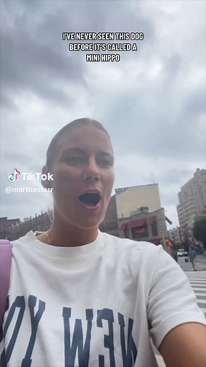 marthestarr on TikTok