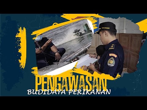 Pengawasan Budidaya Perikanan
