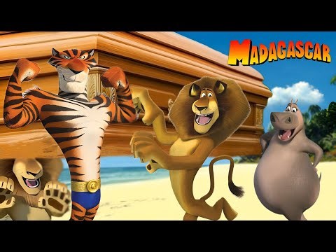 Madagascar - coffin dance song