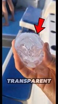 Top 5 Transparent Animals That Look Like REAL Ghosts 😱👻