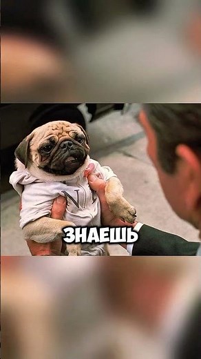 Люди в чёрном #кино #новыесериалы #фильм #фильмыкоторыестоитпосмотреть #фильмы