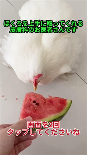 ほくろを上手に取ってくれる皮膚科のお医者さんです