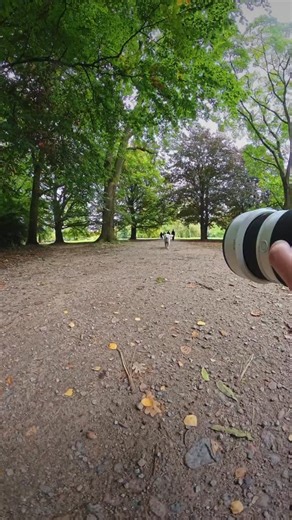 Straßen Affe - Stefan Ostendörp on Instagram: "Sie ist mir in die Kamera gelaufen 🥹📷 #strassenfotografie #streetphotography #unterhaltung #hundefotografie #hundeliebe #streetportraits #hamburg"