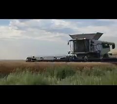 20K views · 591 reactions | South Dakota wheat harvest. | Beckley Harvesting Inc. | Facebook