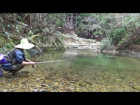 Japanese Mountain Stream Lure Fishing