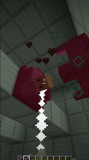 How To Breed Shulkers In Minecraft #Shorts