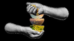 How saving seeds can preserve the food of the future — and past