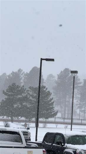 Emergency Services Open During Snowy Conditions