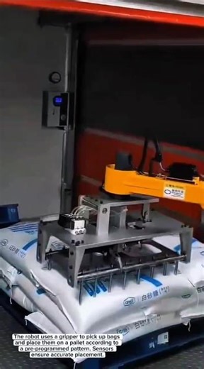 Automated Bag Palletizing: Efficiency in Packaging