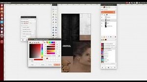 OwlGaming.net - custom skins