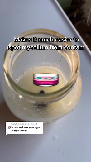 Simple Method for Making Agar for Mycology Experiments